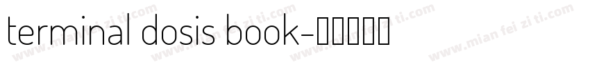 terminal dosis book字体转换